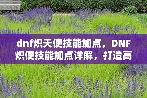 dnf炽天使技能加点，DNF炽使技能加点详解，打造高效战斗力的关键