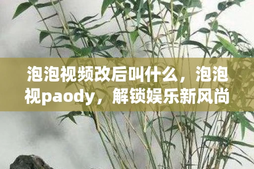 泡泡视频改后叫什么，泡泡视paody，解锁娱乐新风尚