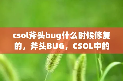 csol斧头bug什么时候修复的，斧头BUG，CSOL中的神秘力量