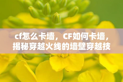 cf怎么卡墙，CF如何卡墙，揭秘穿越火线的墙壁穿越技巧