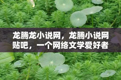 龙腾龙小说网，龙腾小说网贴吧，一个网络文学爱好者的聚集地