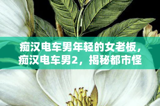 痴汉电车男年轻的女老板，痴汉电车男2，揭秘都市怪谈背后的真相