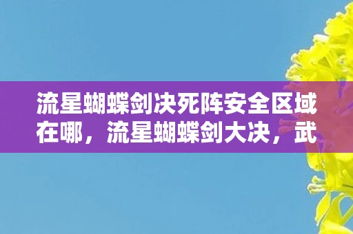 流星蝴蝶剑决死阵安全区域在哪，流星蝴蝶剑大决，武侠世界的终极对决