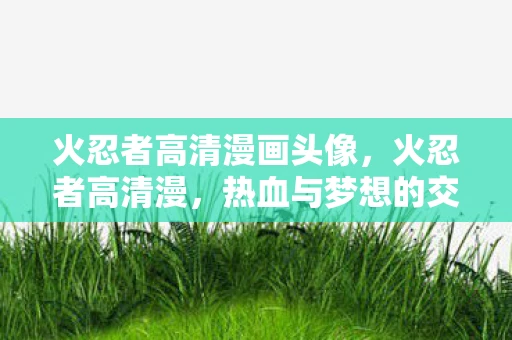 火忍者高清漫画头像，火忍者高清漫，热血与梦想的交织