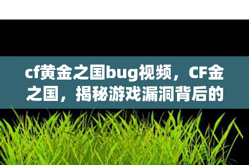 cf黄金之国bug视频，CF金之国，揭秘游戏漏洞背后的故事