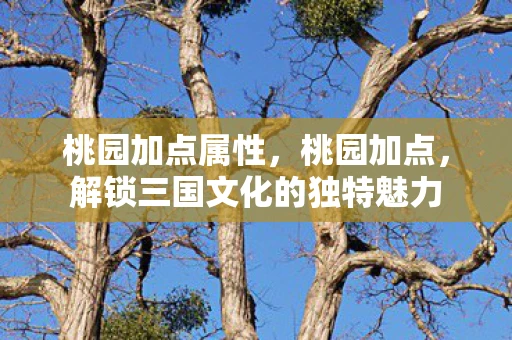 桃园加点属性，桃园加点，解锁三国文化的独特魅力