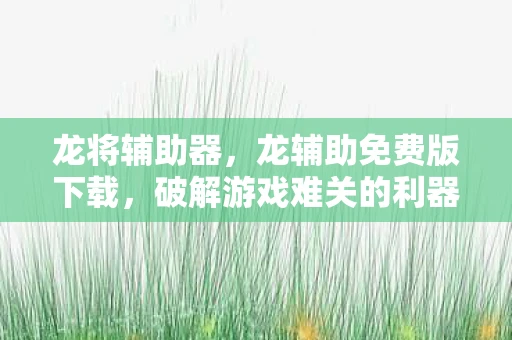 龙将辅助器，龙辅助免费版下载，破解游戏难关的利器？