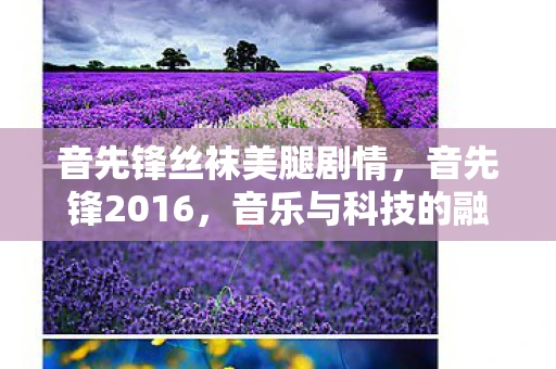 音先锋丝袜美腿剧情，音先锋2016，音乐与科技的融合新纪元