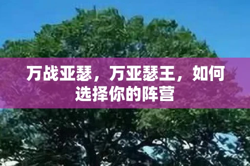 万战亚瑟，万亚瑟王，如何选择你的阵营