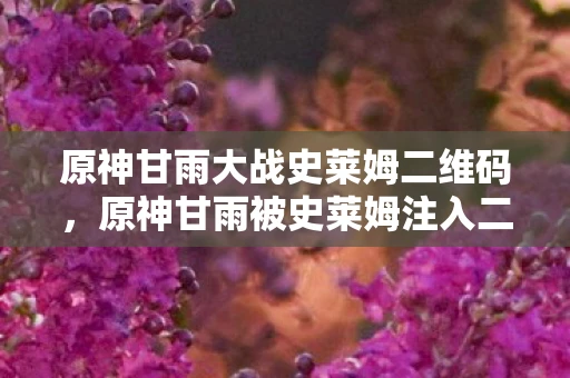原神甘雨大战史莱姆二维码，原神甘雨被史莱姆注入二维码，一场意外的冒险