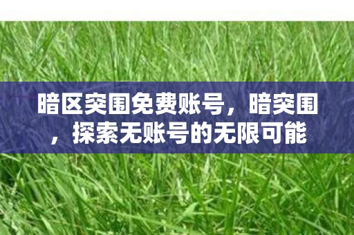 暗区突围免费账号，暗突围，探索无账号的无限可能