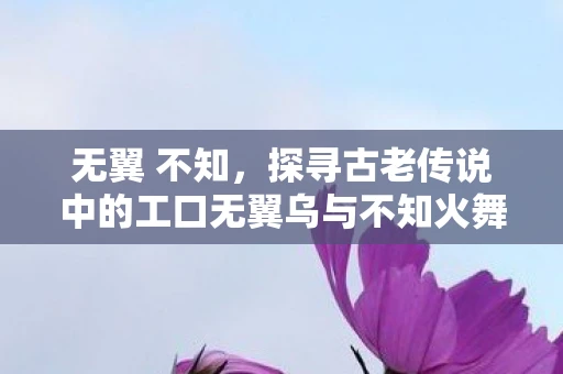 无翼 不知，探寻古老传说中的工口无翼乌与不知火舞