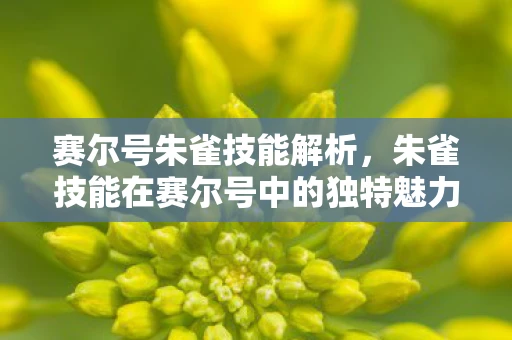 赛尔号朱雀技能解析，朱雀技能在赛尔号中的独特魅力