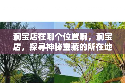 洞宝店在哪个位置啊，洞宝店，探寻神秘宝藏的所在地