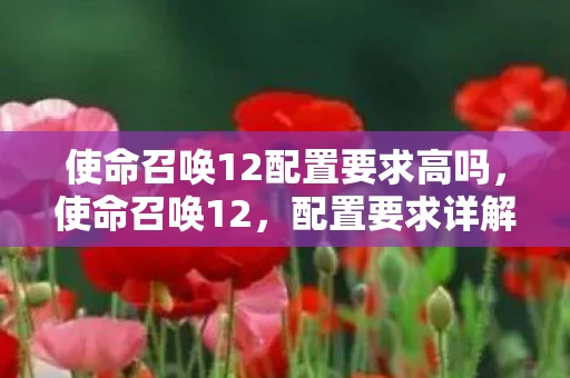 使命召唤12配置要求高吗，使命召唤12，配置要求详解