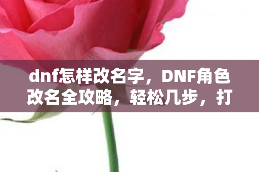 dnf怎样改名字，DNF角色改名全攻略，轻松几步，打造个性角色名