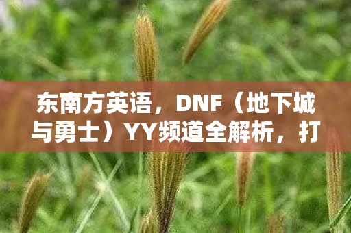 东南方英语，DNF（地下城与勇士）YY频道全解析，打造你的专属冒险之旅