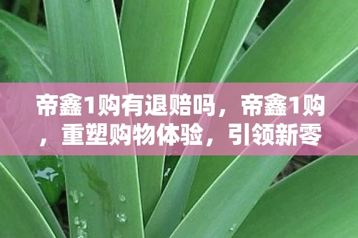 帝鑫1购有退赔吗，帝鑫1购，重塑购物体验，引领新零售潮流