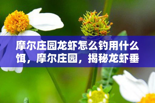 摩尔庄园龙虾怎么钓用什么饵，摩尔庄园，揭秘龙虾垂钓地点