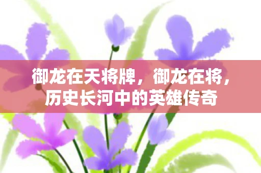 御龙在天将牌，御龙在将，历史长河中的英雄传奇