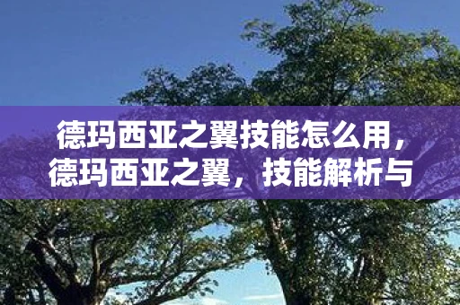 德玛西亚之翼技能怎么用，德玛西亚之翼，技能解析与实战应用