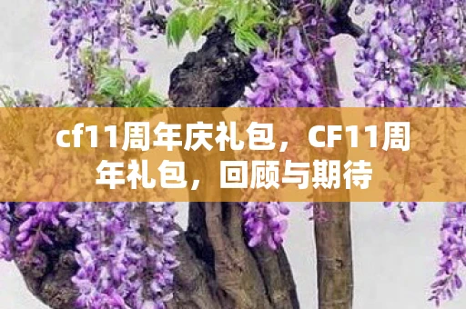 cf11周年庆礼包，CF11周年礼包，回顾与期待