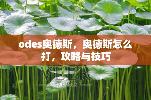 odes奥德斯，奥德斯怎么打，攻略与技巧