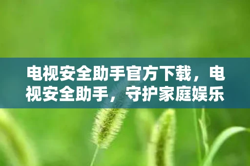 电视安全助手官方下载，电视安全助手，守护家庭娱乐的隐形卫士