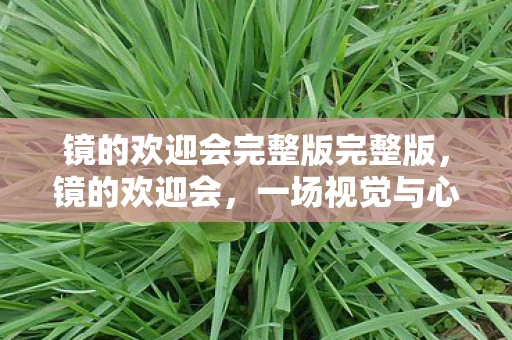 镜的欢迎会完整版完整版，镜的欢迎会，一场视觉与心灵的盛宴