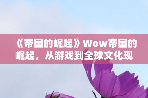 《帝国的崛起》Wow帝国的崛起，从游戏到全球文化现象