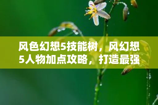 风色幻想5技能树，风幻想5人物加点攻略，打造最强角色