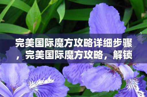 完美国际魔方攻略详细步骤，完美国际魔方攻略，解锁无限可能的智力挑战