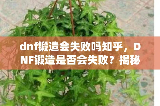 dnf锻造会失败吗知乎，DNF锻造是否会失败？揭秘游戏内锻造系统的真相