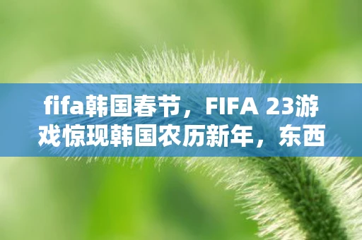 fifa韩国春节，FIFA 23游戏惊现韩国农历新年，东西方文化的奇妙融合