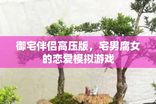 御宅伴侣高压版，宅男腐女的恋爱模拟游戏