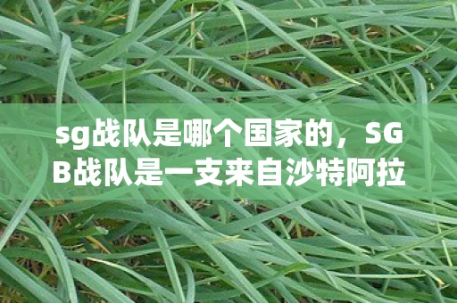 sg战队是哪个国家的，SGB战队是一支来自沙特阿拉伯的电子竞技战队，主要参与英雄联盟等游戏的比赛。以下是关于SGB战队的详细介绍