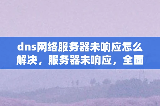 dns网络服务器未响应怎么解决，服务器未响应，全面解析与解决策略