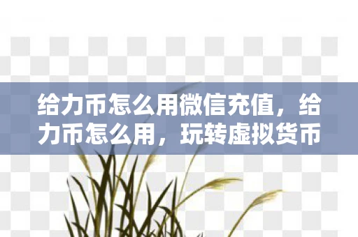 给力币怎么用微信充值，给力币怎么用，玩转虚拟货币，享受数字生活