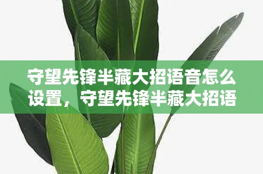 守望先锋半藏大招语音怎么设置，守望先锋半藏大招语音，传承与创新的结合