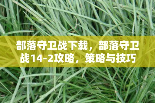 部落守卫战下载，部落守卫战14-2攻略，策略与技巧的完美结合
