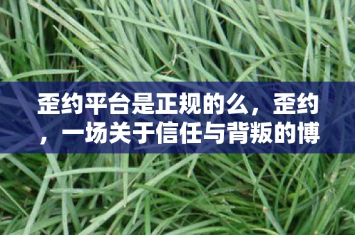 歪约平台是正规的么，歪约，一场关于信任与背叛的博弈