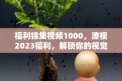 福利锦集视频1000，潦视2023福利，解锁你的视觉盛宴