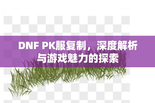 DNF PK服复制，深度解析与游戏魅力的探索