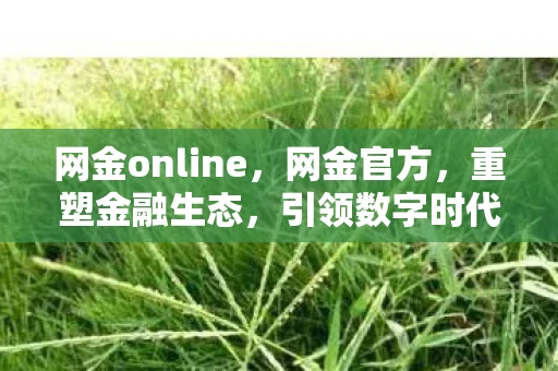 网金online，网金官方，重塑金融生态，引领数字时代新潮流