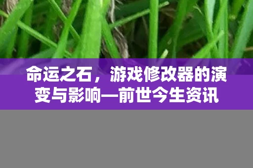 命运之石，游戏修改器的演变与影响—前世今生资讯