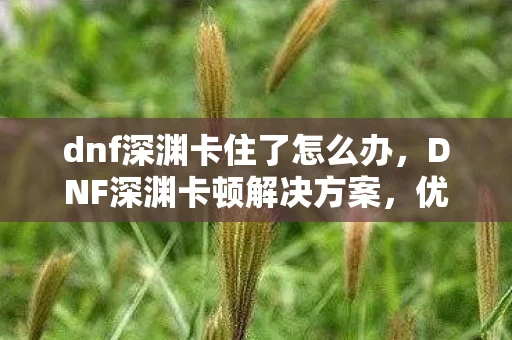 dnf深渊卡住了怎么办，DNF深渊卡顿解决方案，优化网络、硬件与游戏设置