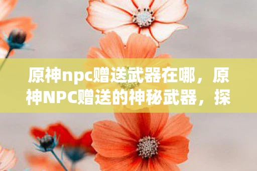 原神npc赠送武器在哪，原神NPC赠送的神秘武器，探寻隐藏的故事与传说