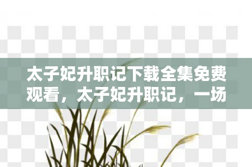 太子妃升职记下载全集免费观看，太子妃升职记，一场跨越时空的浪漫喜剧