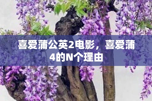 喜爱蒲公英2电影，喜爱蒲4的N个理由