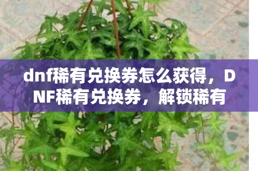 dnf稀有兑换券怎么获得，DNF稀有兑换券，解锁稀有装备，提升战斗力的神秘钥匙